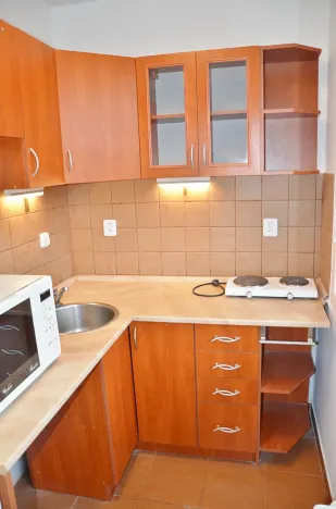 Pronájem bytu 1+kk, Praha - Krč, Jánošíkova, 37 m2