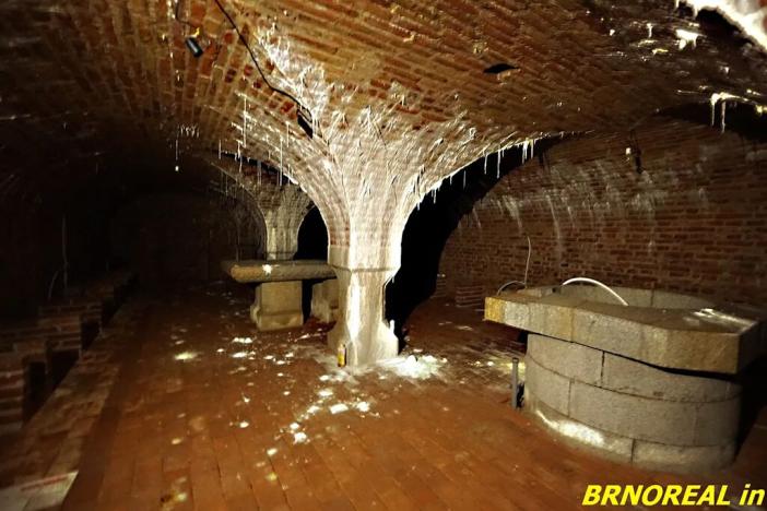 Prodej vícegeneračního domu, Staré Město pod Landštejnem, 1150 m2