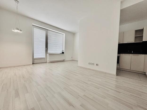 Pronájem bytu 1+kk, Brno, U Leskavy, 37 m2