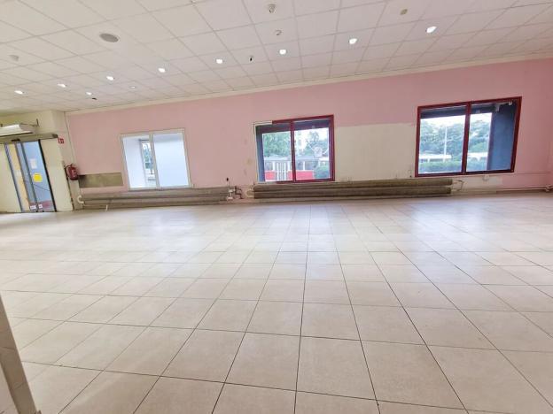 Pronájem obchodního prostoru, Praha - Libeň, Zenklova, 348 m2