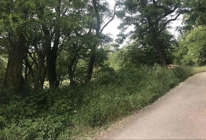 Prodej pozemku pro bydlení, Nebovidy, 2500 m2