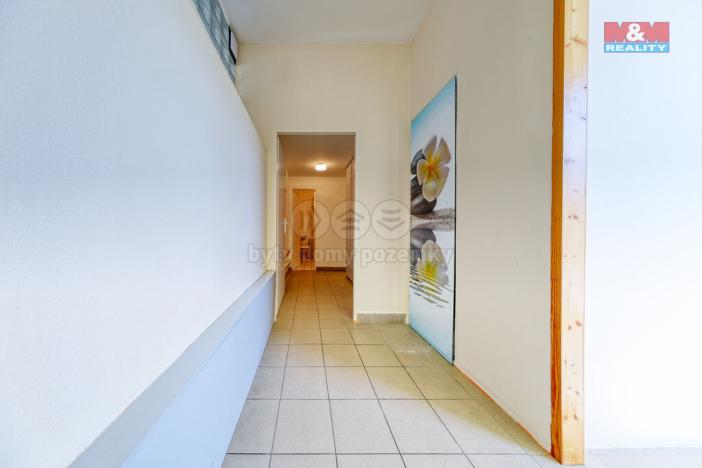 Prodej obchodního prostoru, Písek, Čechova, 53 m2