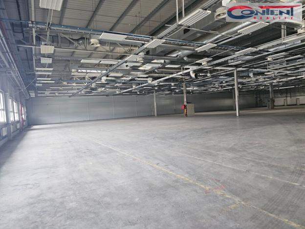 Pronájem skladu, Plzeň - Skvrňany, U Nové Hospody, 6625 m2