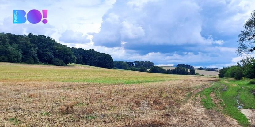 Prodej pole, Líšná, 103172 m2