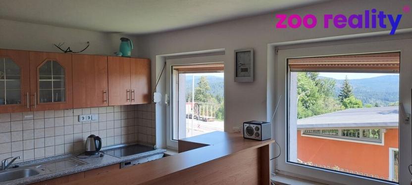 Prodej činžovního domu, Strážný, 462 m2