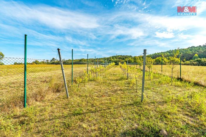 Prodej zahrady, Čebín, 1263 m2