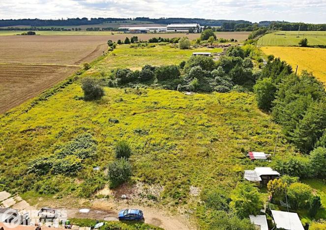 Prodej komerčního pozemku, Zámrsk, 7505 m2