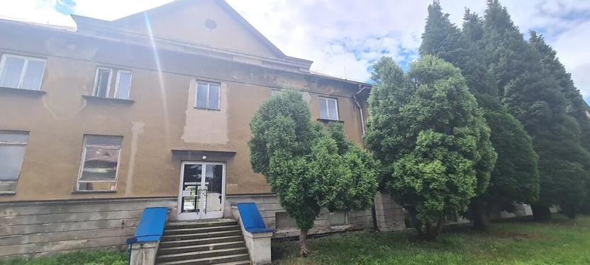 Prodej výrobních prostor, Děčín, Vítězství, 12815 m2