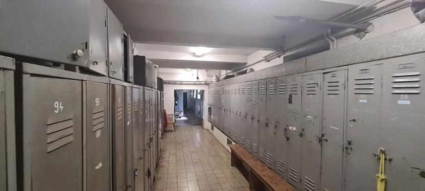 Prodej výrobních prostor, Děčín, Vítězství, 12815 m2