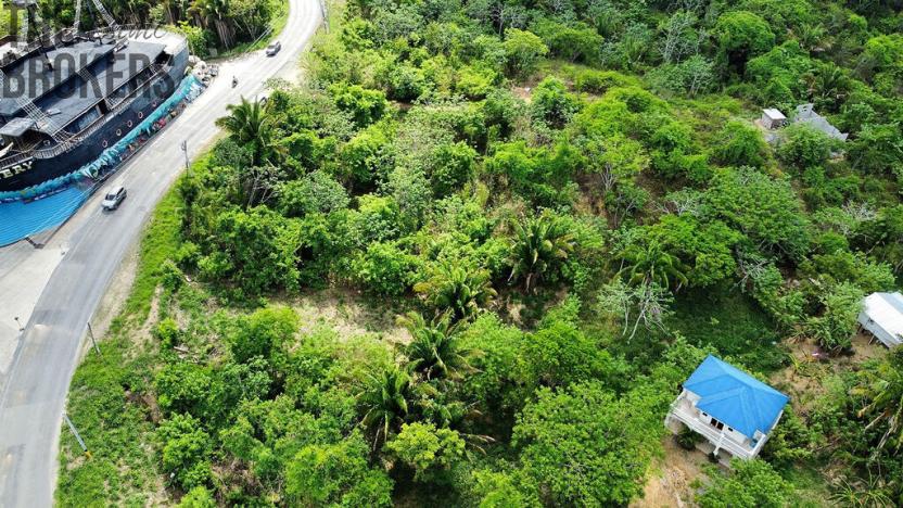 Prodej pozemku, Coxen Hole, Roatán, Honduras, 716 m2