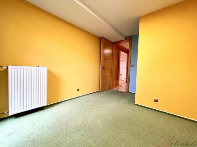 Prodej rodinného domu, Opava - Předměstí, Nerudova, 380 m2