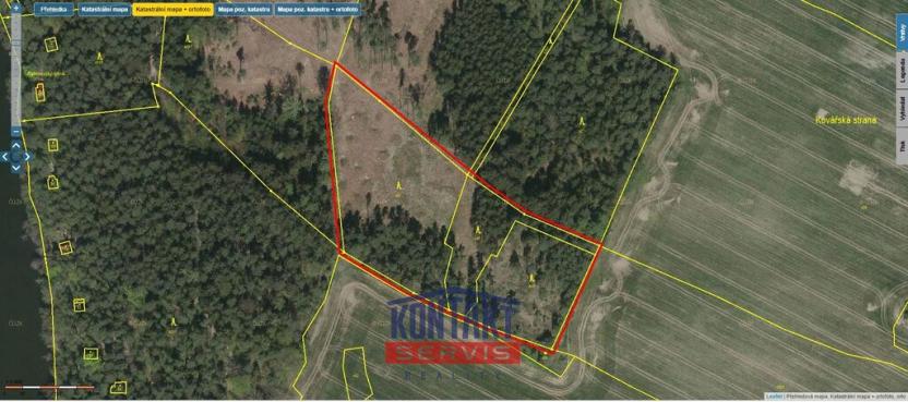 Prodej lesa, Střížovice - Vlčice, 43683 m2