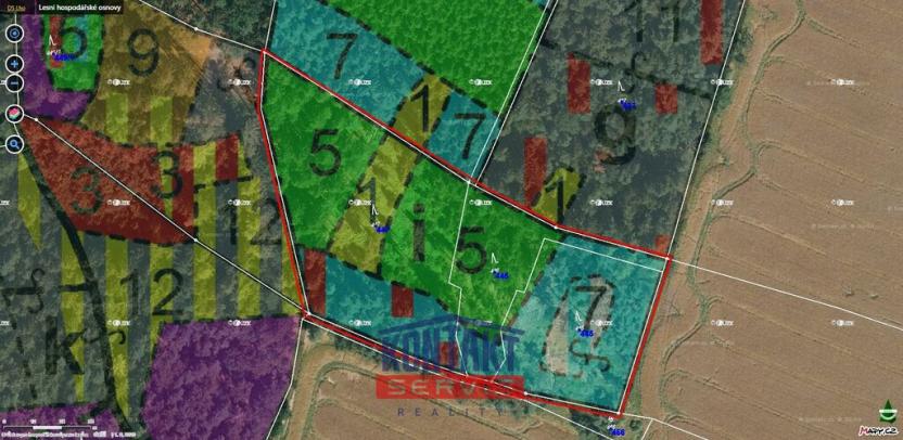 Prodej lesa, Střížovice - Vlčice, 43683 m2