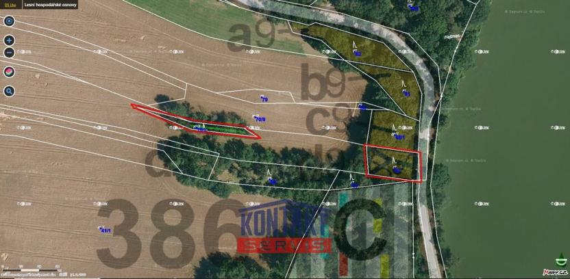 Prodej lesa, Střížovice - Vlčice, 43683 m2