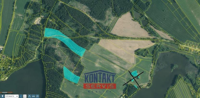 Prodej lesa, Střížovice - Vlčice, 43683 m2