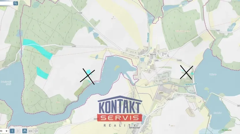 Prodej lesa, Střížovice - Vlčice, 43683 m2