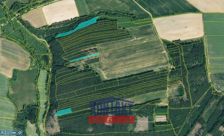 Prodej lesa, Kožlany - Hodyně, 16790 m2