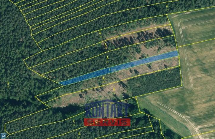 Prodej lesa, Kožlany - Hodyně, 16790 m2