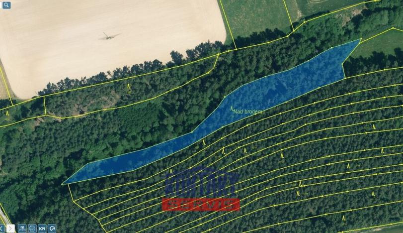 Prodej lesa, Kožlany - Hodyně, 16790 m2