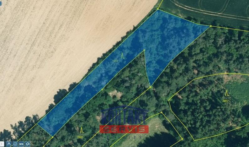 Prodej lesa, Kožlany - Hodyně, 16790 m2