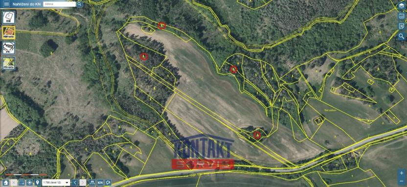 Prodej lesa, Pyšel - Vaneč, 11037 m2