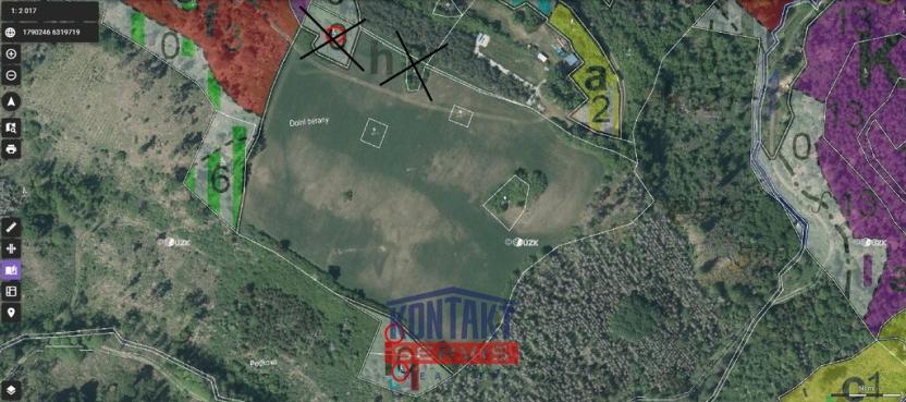 Prodej lesa, Pyšel - Vaneč, 11037 m2