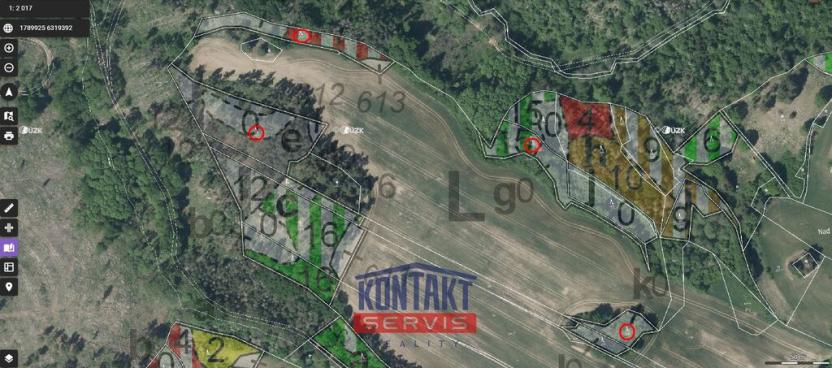 Prodej lesa, Pyšel - Vaneč, 11037 m2