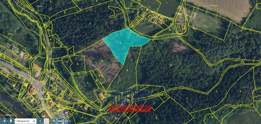Prodej lesa, Železný Brod - Bzí, 6802 m2