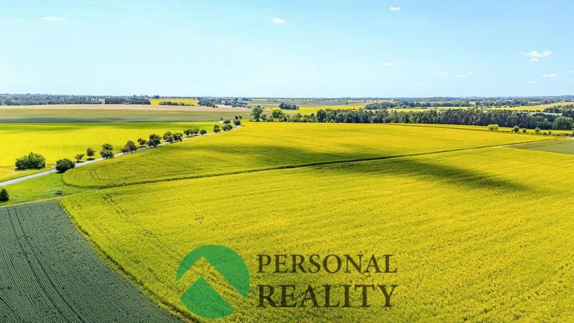 Prodej chalupy, Bělá pod Bezdězem - Březinka, 105 m2