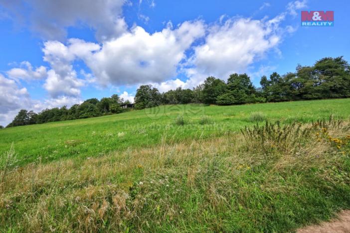 Prodej pozemku pro bydlení, Lipnice nad Sázavou, 3300 m2