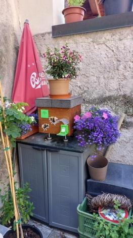 Prodej činžovního domu, Pardubice - Pardubice-Staré Město, Pernštýnská, 209 m2