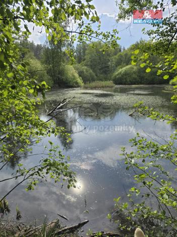 Prodej rybníku, Obory, 16271 m2