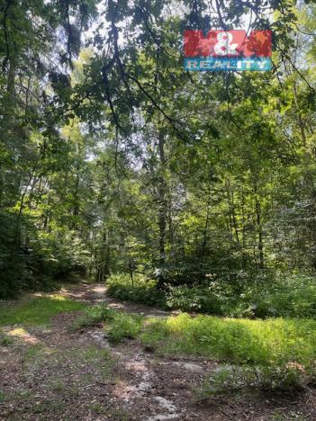 Prodej lesa, Mírová pod Kozákovem - Sekerkovy Loučky, 5461 m2