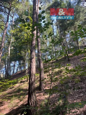 Prodej lesa, Mírová pod Kozákovem - Sekerkovy Loučky, 5461 m2