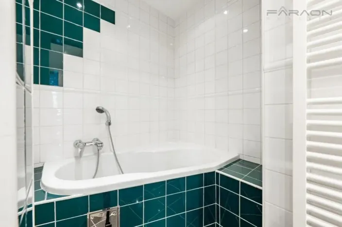 Pronájem bytu 5+kk, Praha - Nové Město, Dřevná, 250 m2