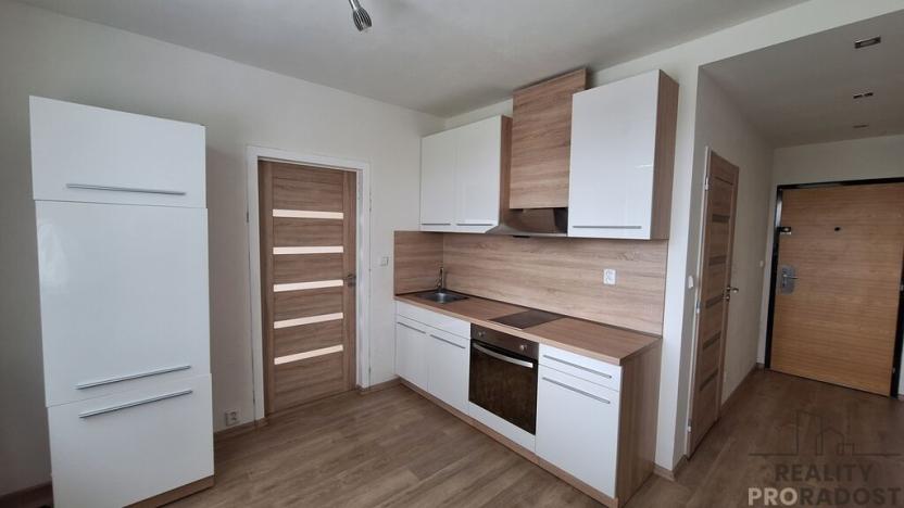 Pronájem bytu 1+1, Ústí nad Labem, Kmochova, 32 m2