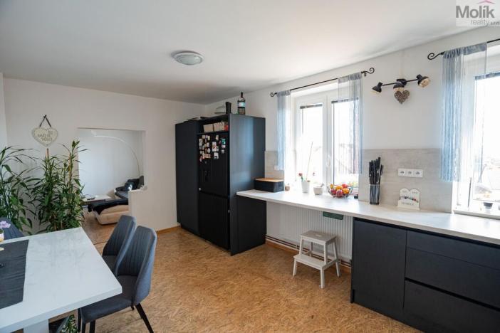 Prodej vícegeneračního domu, Most - Vtelno, Ke Kostelu, 730 m2