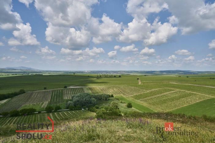 Prodej rodinného domu, Velké Bílovice, Rulandová, 70 m2