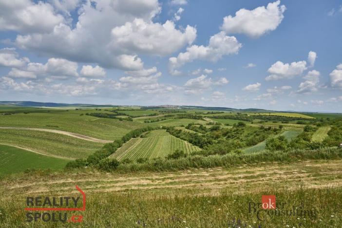 Prodej rodinného domu, Velké Bílovice, Rulandová, 70 m2