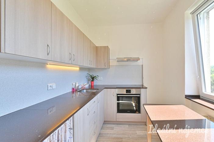 Pronájem bytu 1+1, Nížkovice, 35 m2