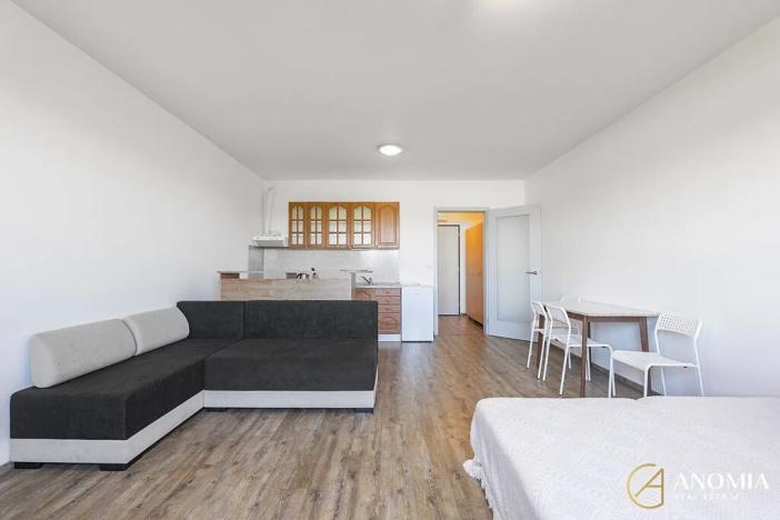 Pronájem bytu 1+kk, Brno, třída Generála Píky, 35 m2