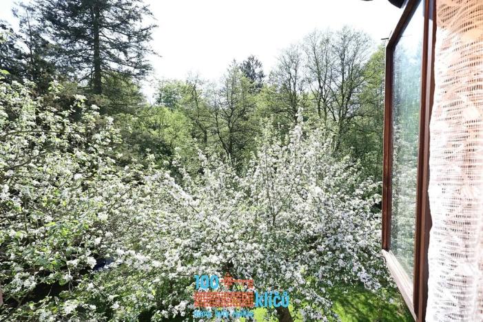 Prodej chalupy, Stříbrná Skalice, 75 m2