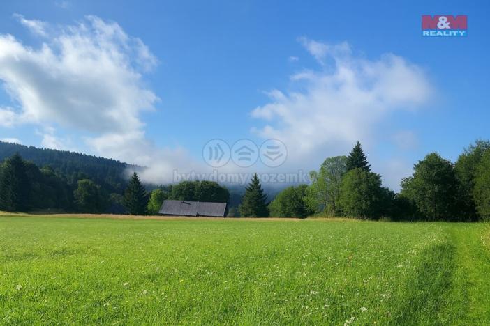 Prodej louky, Kořenov - Rejdice, 7880 m2