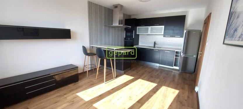 Pronájem bytu 2+kk, České Budějovice, Papírenská, 41 m2