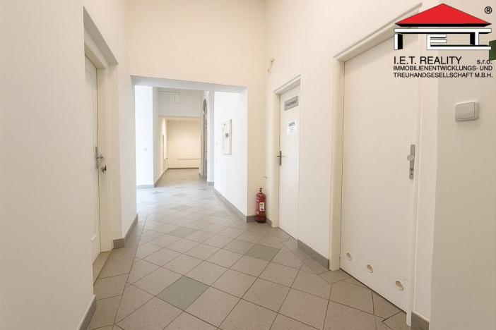 Pronájem ordinace, Brno, Orlí, 113 m2