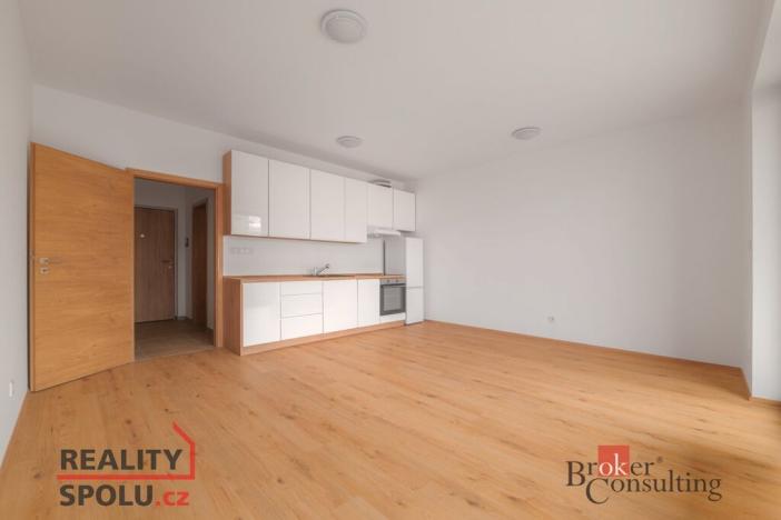 Pronájem bytu 1+kk, Plzeň - Jižní Předměstí, Měděná, 36 m2