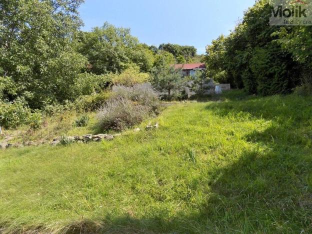 Prodej zahrady, Ústí nad Labem - Sebuzín, 1154 m2