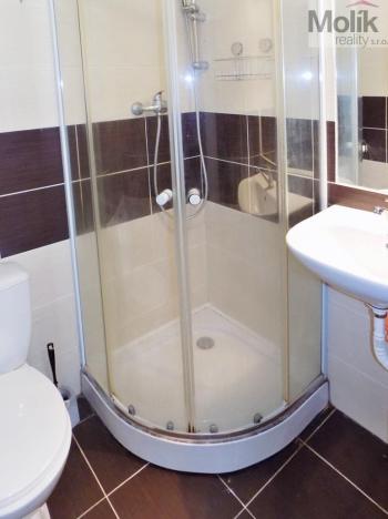 Pronájem bytu 1+1, Most, Lesní, 28 m2