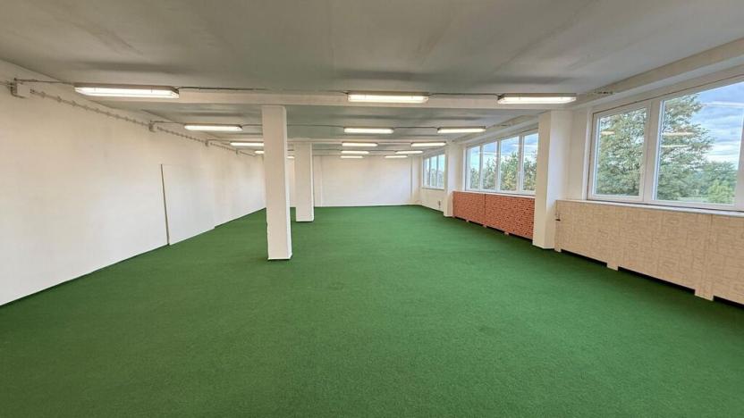 Pronájem obchodního prostoru, Polepy, 1200 m2