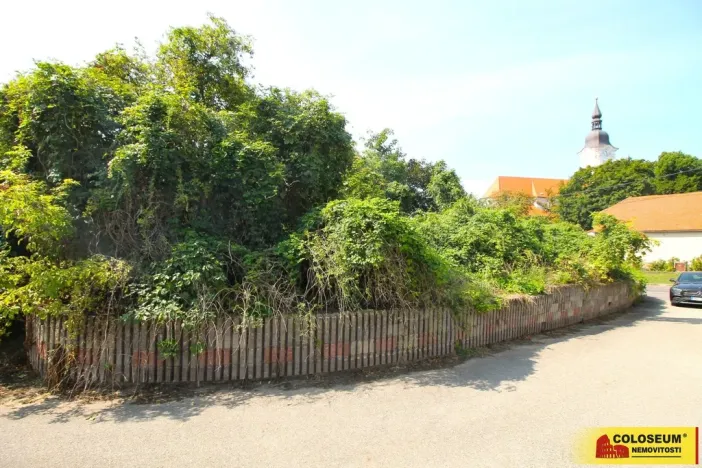 Prodej - jiné, Hrušovany nad Jevišovkou, 36 m2
